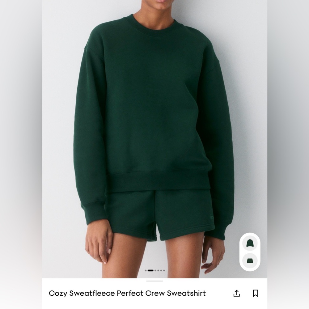 Aritzia sweatfleece crew sweatshirt